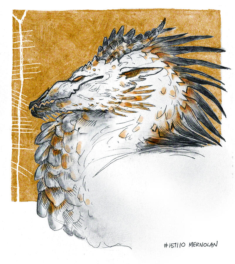 Eiriogh_2015